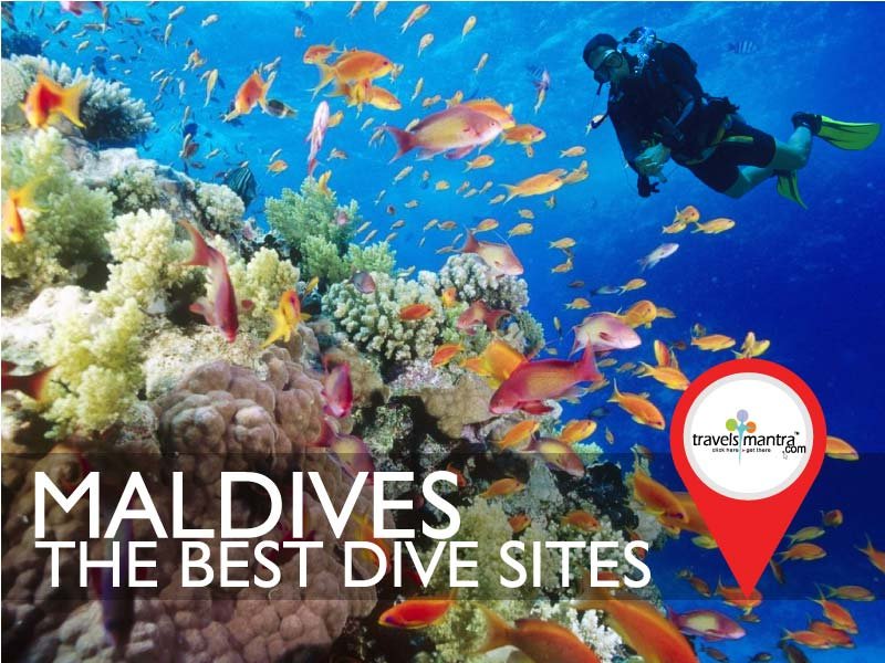 Best Dive Sites in Maldives