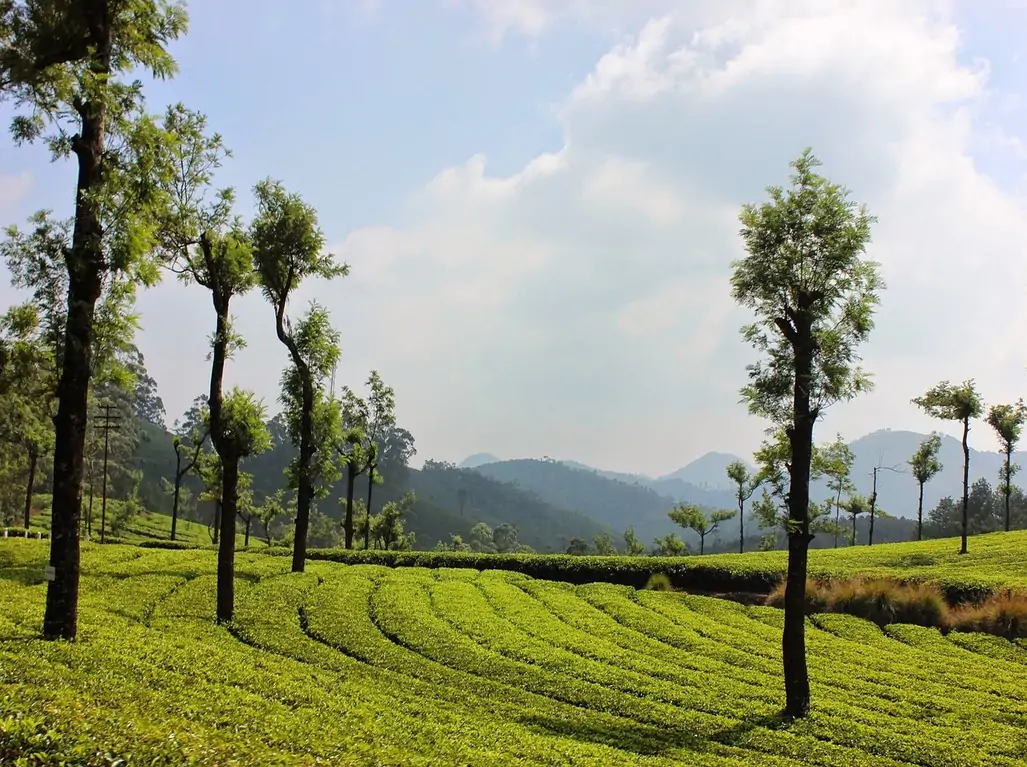 kerala packages